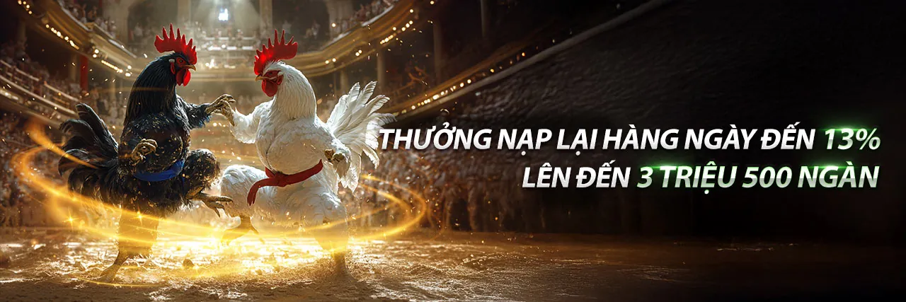 Gà chọi dũng mãnh trên sân đấu tại jn88